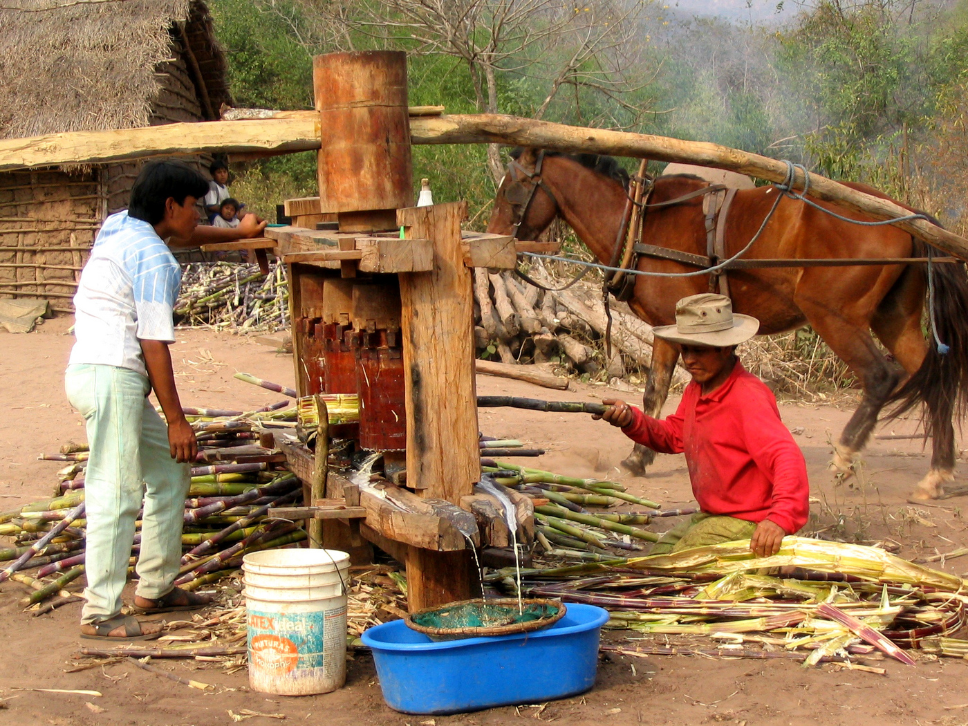 Sugarcane trapiche