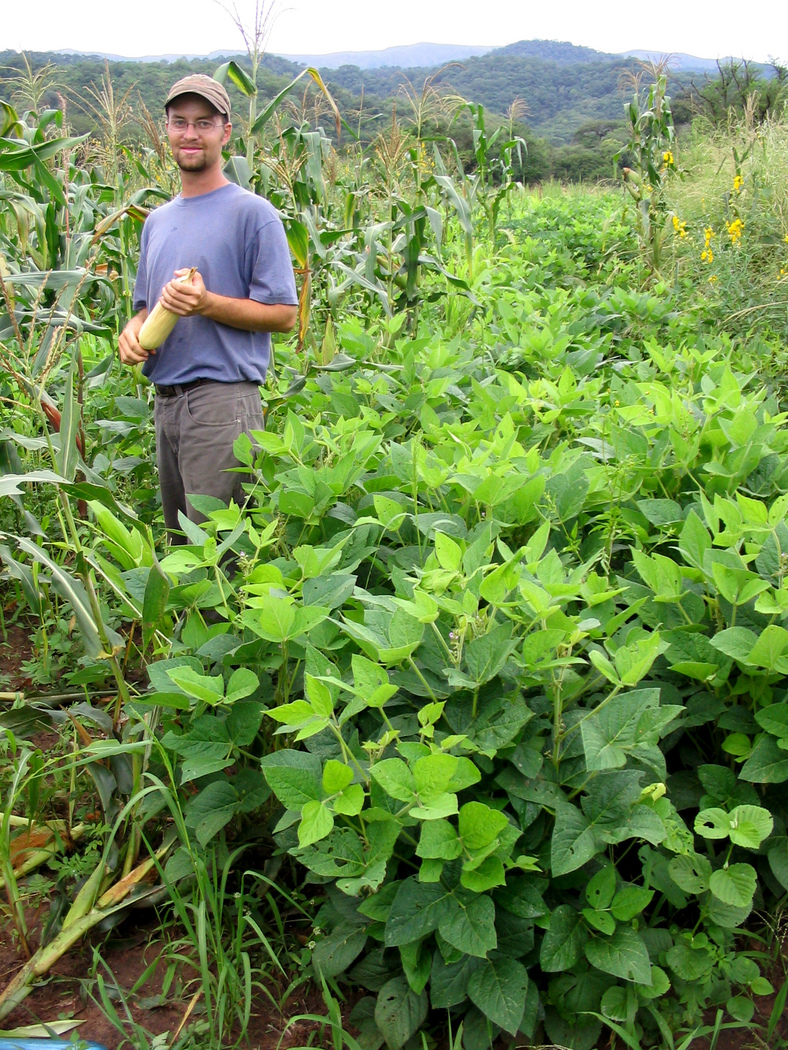 Soybeans