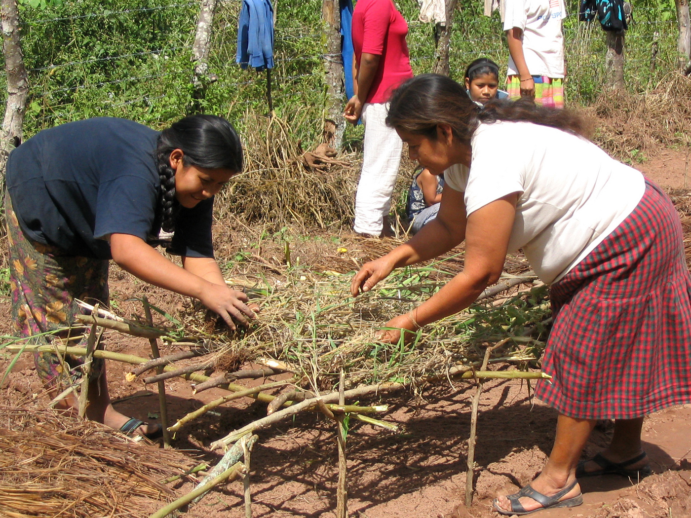 Women's garden