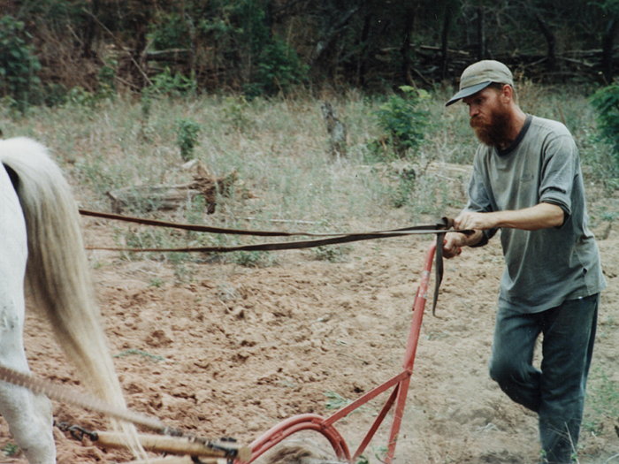 Gringo plowing