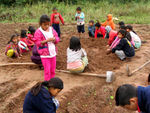 Student garden