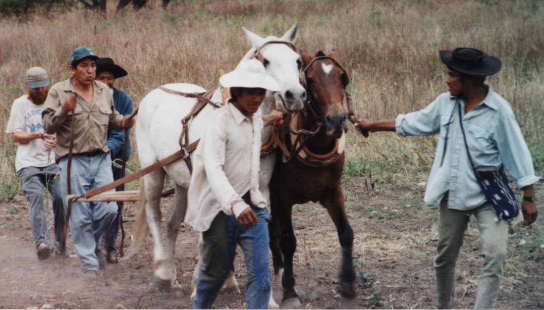 Don Clemente takes the reins.